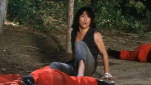 Revenge of the Drunken Master's poster