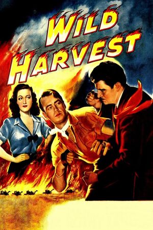Wild Harvest's poster