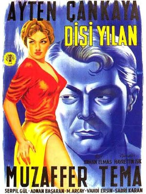 Dişi Yılan's poster