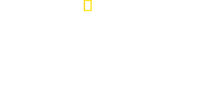 King Tut In Color's poster