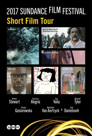 2017 Sundance Film Festival Short Film Tour's poster