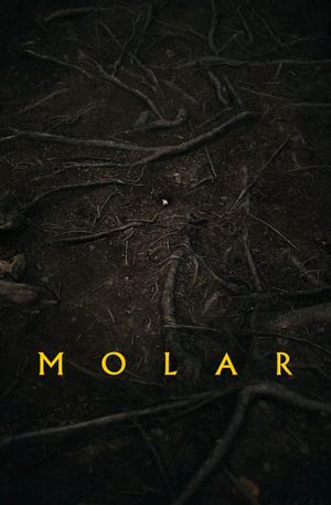 Molar's poster