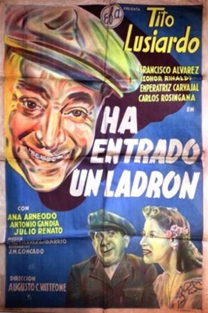 Ha entrado un ladrón's poster