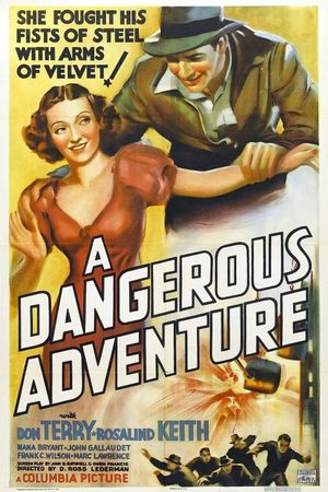 A Dangerous Adventure's poster