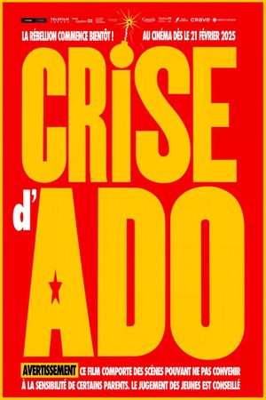 Crise d'ado's poster