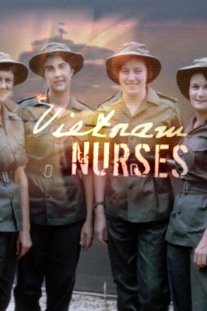Vietnam Nurses's poster