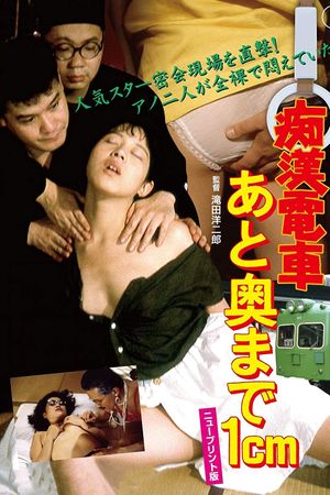 Molester Train: 1 Centimeter from the Wall's poster