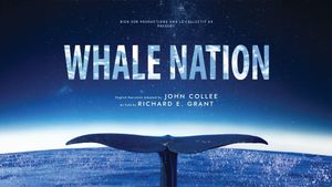 Whale Nation's poster