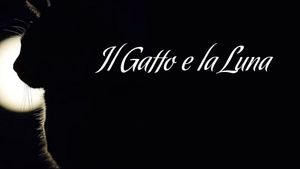 Il gatto e la luna's poster