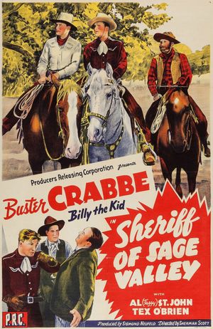 Sheriff of Sage Valley's poster