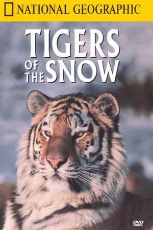 Tigers of the Snow's poster