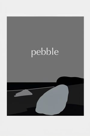 pebble's poster