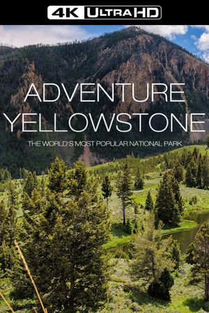 Adventure Yellowstone - Der Ruf der Wildnis's poster