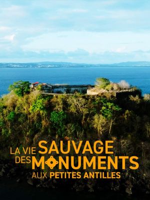 La vie sauvage des monuments aux Petites Antilles's poster