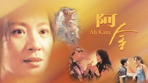 The Stunt Woman's poster