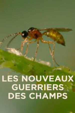 Les nouveaux guerriers des champs's poster