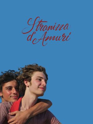Fireworks's poster