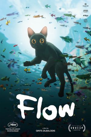 Flow's poster image