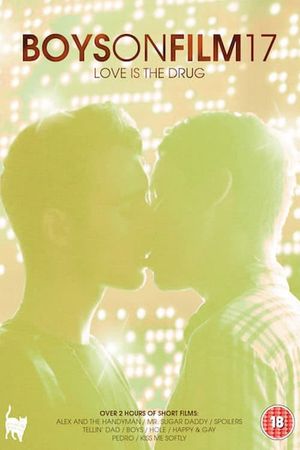 Boys on Film 17: Love Is the Drug's poster