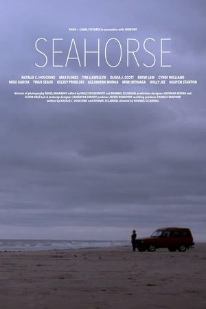 Seahorse's poster