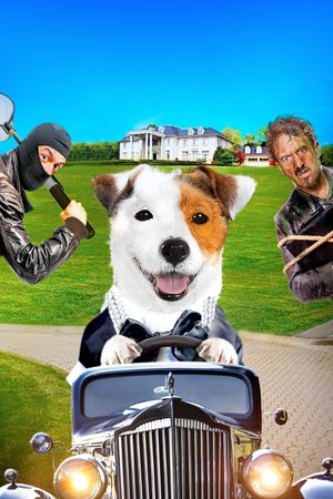 Millionaire Dog's poster