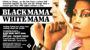 Black Mama White Mama's poster