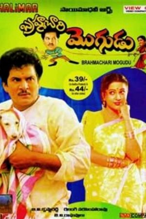 Brahmachari Mogudu's poster