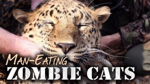 Man-Eating Zombie Cats's poster