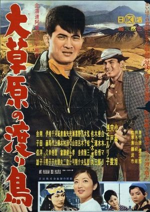 Daisogen no wataridori's poster