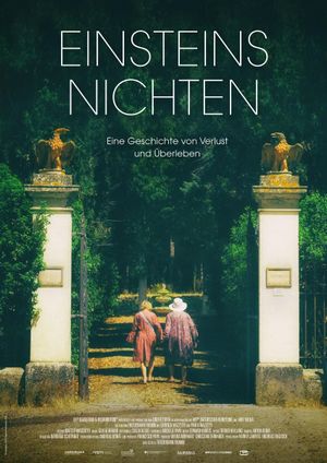 Einsteins Nichten's poster