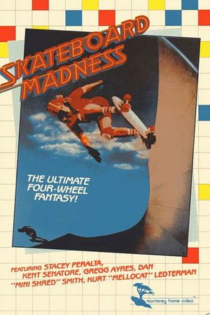 Skateboard Madness's poster