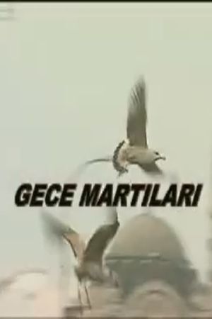 Gece Martıları's poster image