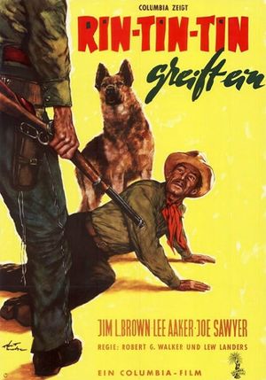 The Challenge of Rin Tin Tin's poster