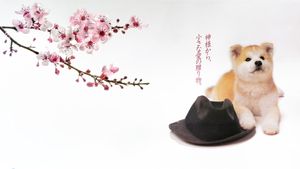 Hachi-ko's poster