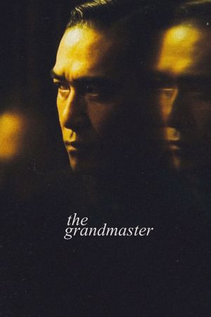 The Grandmaster's poster