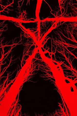 Blair Witch's poster