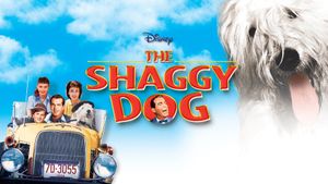 The Shaggy Dog's poster