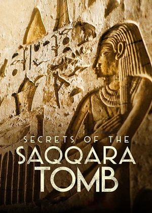 Secrets of the Saqqara Tomb's poster