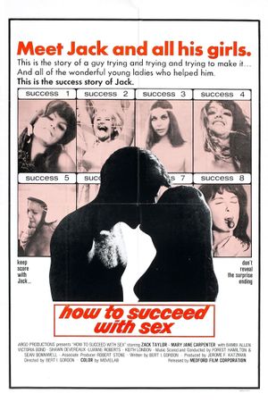 How to Succeed with Sex's poster image