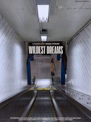 Wildest Dreams's poster