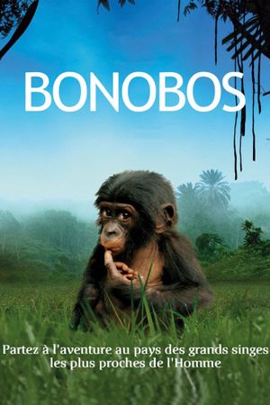 Bonobos: Back to the Wild's poster