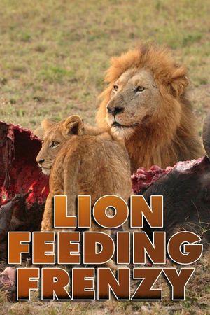 Lion Feeding Frenzy's poster