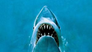 Jaws's poster