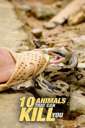 10 Animals That Will Kill You's poster