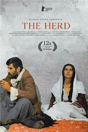 The Herd's poster