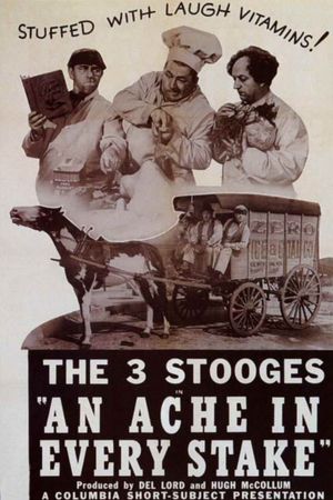 An Ache in Every Stake's poster