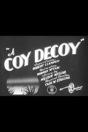 A Coy Decoy's poster