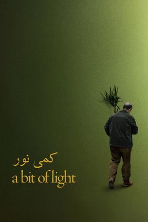 A Bit of Light's poster image