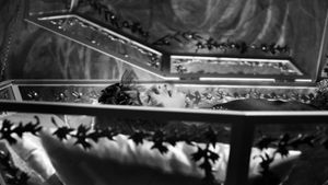 Blancanieves's poster