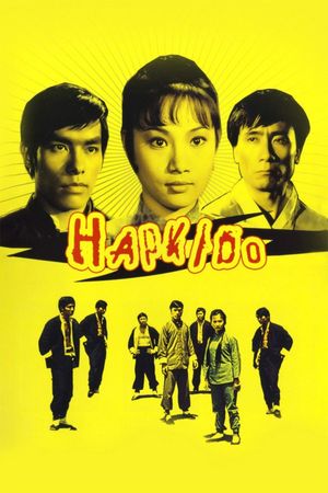 Lady Kung Fu's poster